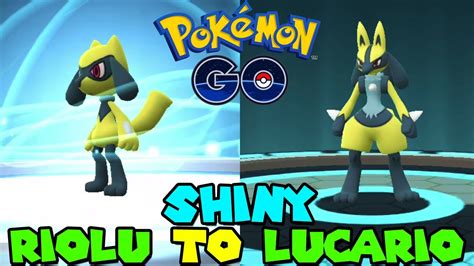 Shiny Riolu And Lucario