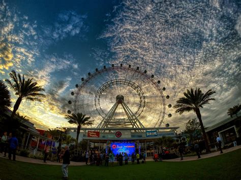 The Orlando Eye | Alcorn McBride