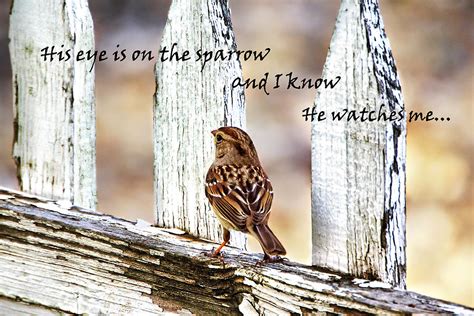 His Eye Is On The Sparrow With Quote Photograph by Abram House