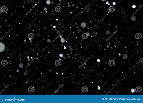 Photo of a Snow Falling at Night, Beautiful Background Stock Photo ...