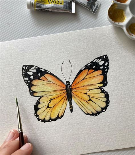 25 Beautiful Watercolor Butterfly Painting Ideas