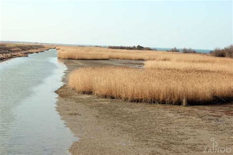 The Po Delta - magnificent landscape in the river delta