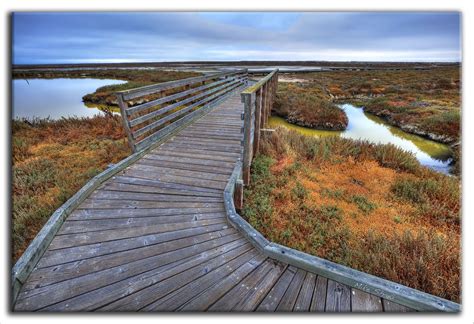 Don Edwards Wildlife Refuge, Alviso, CA 1 | After seeing so … | Flickr