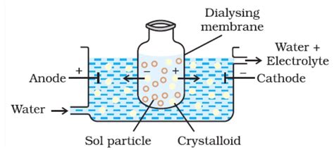 Methods of Preparation and Purification of Colloidal Solutions - Chemistry, Class 12, Surface ...