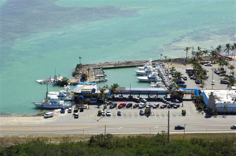 Whale Harbor Marina in Islamorada, FL, United States - Marina Reviews - Phone Number - Marinas.com