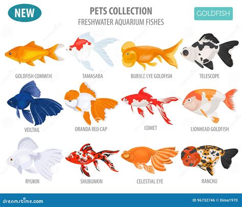 Freshwater Aquarium Fishes Breeds Icon Set Flat Style O Stock Vector - Illustration of tank ...