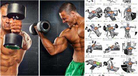 Cluster Sets Training Method For Mass And Strength | Fitness Workouts & Exercises