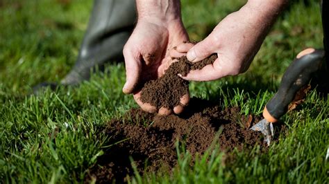 Best Soil Test Kit For Your Lawn - greeniq.co