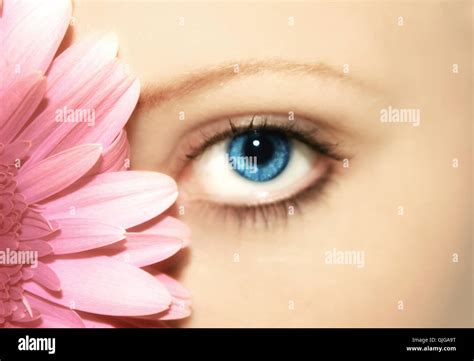 beauty - flower - eye Stock Photo - Alamy