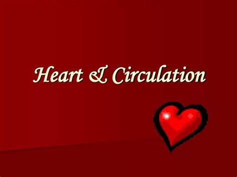 PPT - Heart & Circulation PowerPoint Presentation, free download - ID:2259289