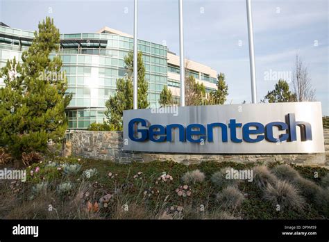 The headquarters campus of Genentech in San Francisco, California Stock ...