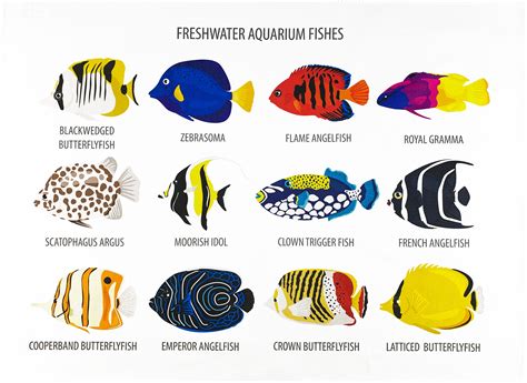 Collection of Freshwater Aquarium Fishes Coral Reef Fish Tea Towel - Etsy