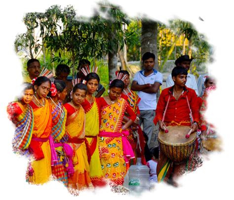 Sundarban Tour Experiences - Sundarban Trisha Tourism