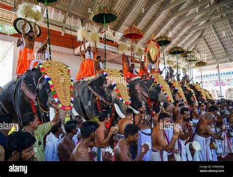 Thrissur , Pooram festival Kerala, India Stock Photo - Alamy