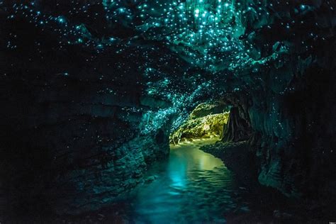 Glow-Worm Cave In Waitomo, New Zealand (PICTURE)