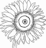 Free Printable Sunflower Coloring Pages For Kids sketch template