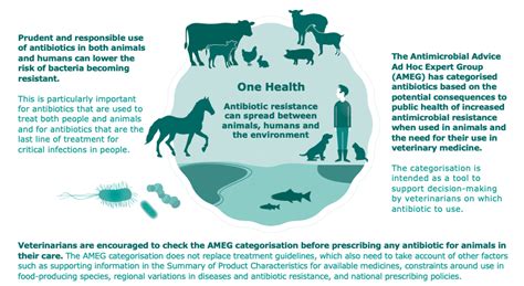 Benefits Of Animal Antibiotics - MIRADUKES MAGNIFICENT SOLUTIONS