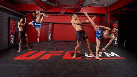 UFC Gym Prices (2024 Update) - Gym Membership Fees