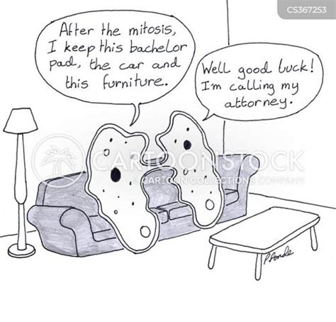 Mitosis Cartoons and Comics - funny pictures from CartoonStock