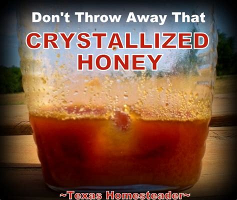 Crystallized Honey Made Smooth Again | ~Texas Homesteader~