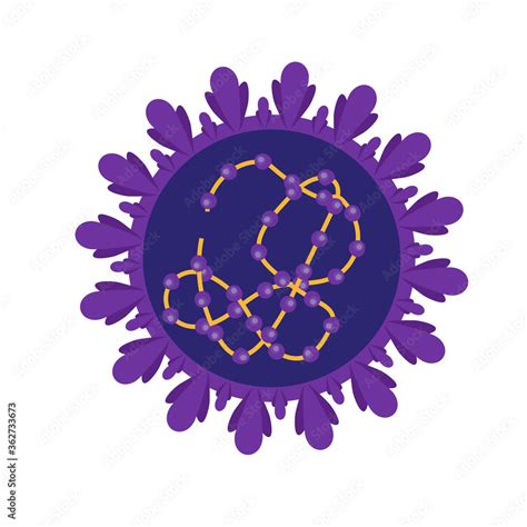 Coronavirus cell structures and anatomy. Labeled with morphology of ...