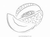 Canteloupe At See Coloring Page For Kids  Free Melon Printable sketch template