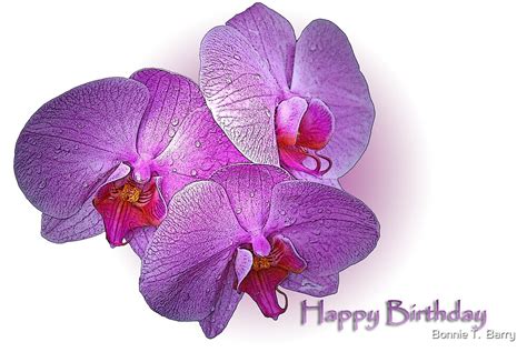 "Happy Birthday Orchids" by Bonnie T. Barry | Redbubble