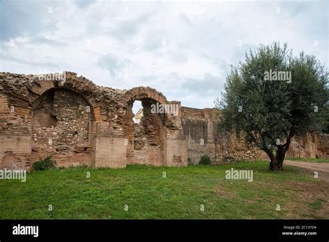 Ruins of the ancient imperial palace at Palatine Hill, Rome Stock Photo - Alamy