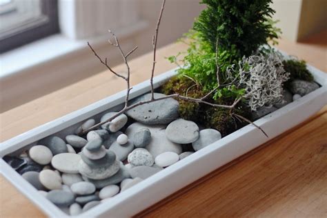 How To Make Your Own Mini Zen Garden From Scratch