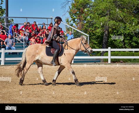 Kentucky Horse Park Stock Photo - Alamy