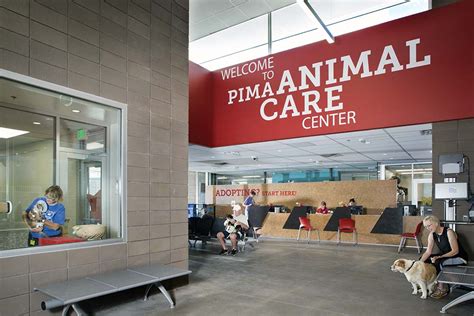 Pima Animal Care Center Animal Shelter - Animal Arts