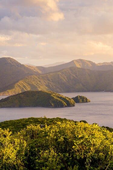 5 spectacular walks in New Zealand's Marlborough region