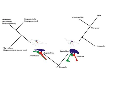 Marginocephalia - gh Ng B