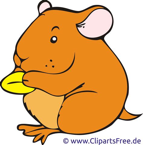 hamster clipart - Clip Art Library