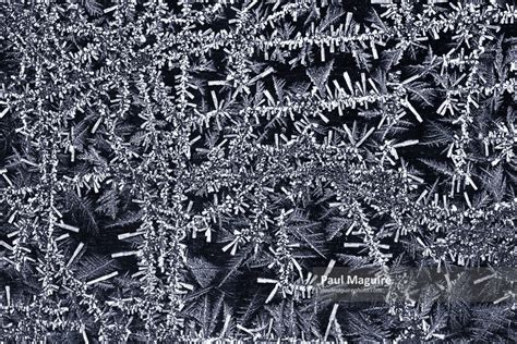 Stock photo - Hoar frost background - Paul Maguire