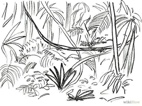 Rainforest Trees Drawing at PaintingValley.com | Explore collection of Rainforest Trees Drawing