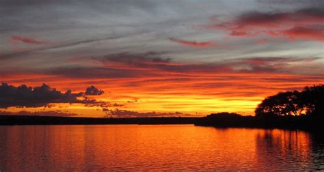 Zambezi cruise at sunset | Africa travel, Zambezi river, Sunset cruise