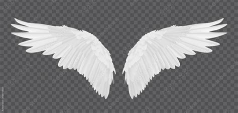 Vector realistic angel wings isolated on transparent background Stock ...