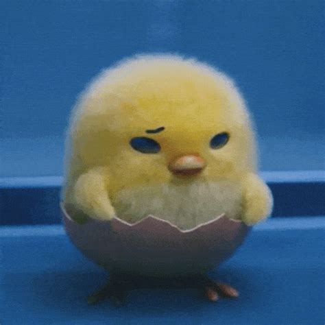 Shakipiyo Gudetama GIF - Shakipiyo Gudetama - Discover & Share GIFs