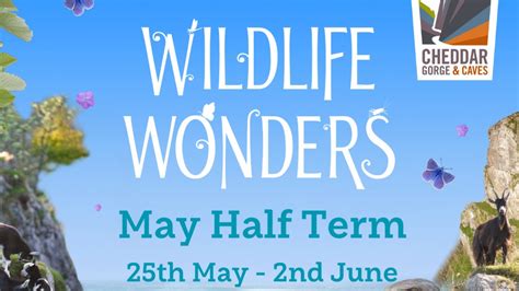 Wildlife Wonders at Cheddar Gorge & Caves this May half term - Visit West