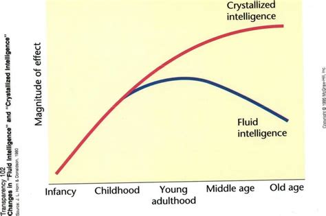 The Difference Between Fluid Intelligence and Crystallized Intelligence | Examined Existence