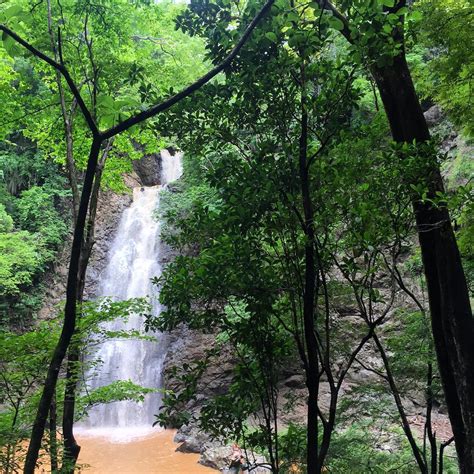 Day trip adventure to visit Montezuma waterfalls | Enchanting Costa Rica