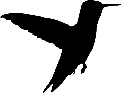 hummingbird silhouette clipart 10 free Cliparts | Download images on Clipground 2024