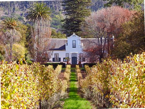 Buitenverwachting Wine Estate - ScenicWiki