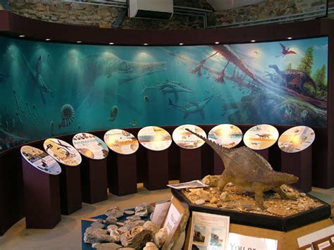 Charmouth Heritage Coast Centre – Fine Foundation Education Centre