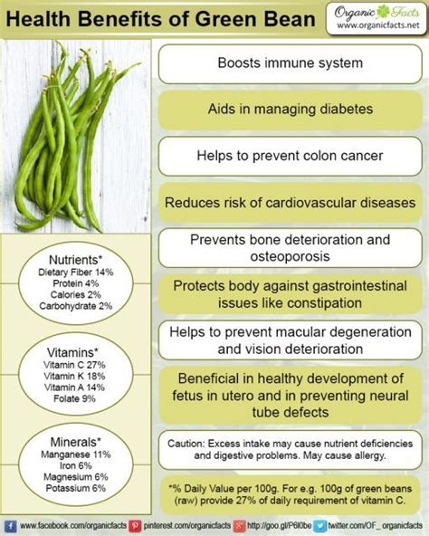 Health Benefits of Green Beans | Organic Facts | Green beans benefits, Benefits of organic food ...