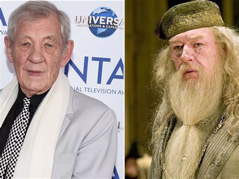 Albus Dumbledore Michael Gambon