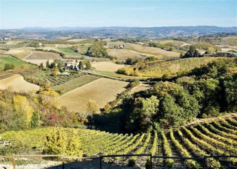 My Favorite Wine Tours in Tuscany - from Florence, Siena, & Rome