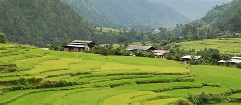 Punakha Tours & Custom Bhutan Tours | Enchanting Travels