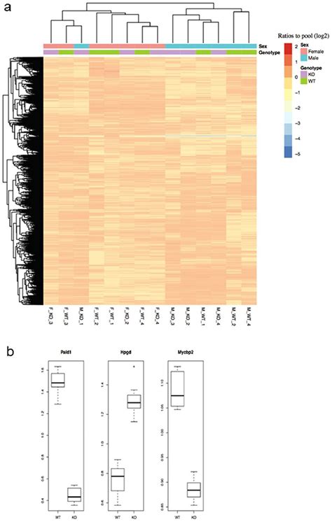 Proteomics data overview and significantly differentially expressed ...